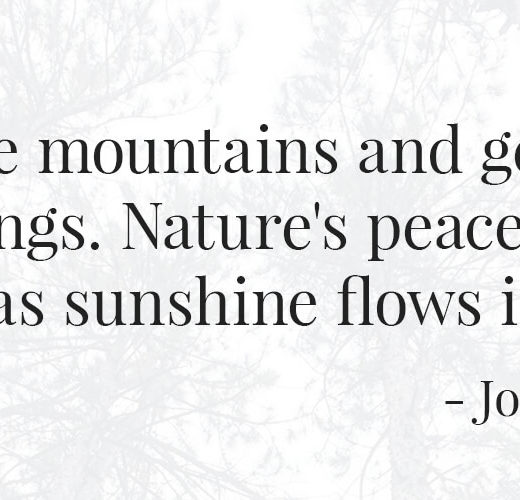 Quote: Climb the mountains and get their good tidings. Nature's peace will flow into you as sunshine flows into trees. - John Muir